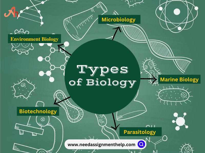 Types of Biology